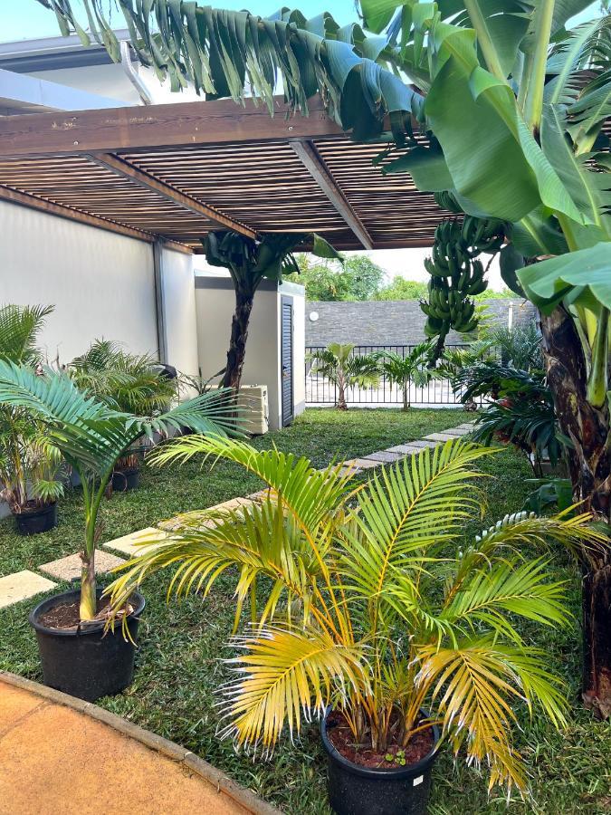 Les Villas Du Cap Piscine Chauffee Avril A Octobre Saint-Joseph Exteriér fotografie
